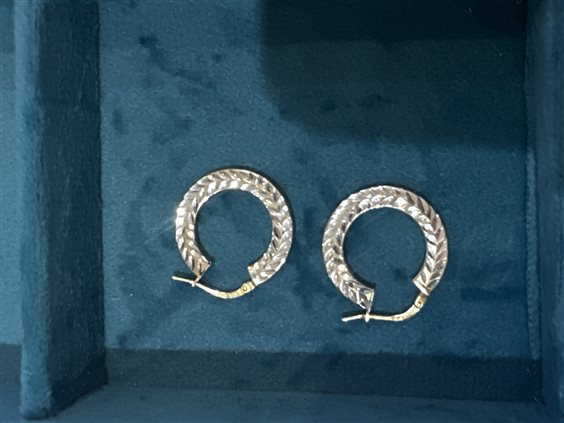 Orecchini Domar Donna in Argento ORAR-298-280 - ORAR-298-280